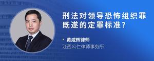 刑法对领导恐怖组织罪既遂的定罪标准?