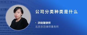 公司分类种类是什么