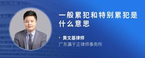 一般累犯和特别累犯是什么意思