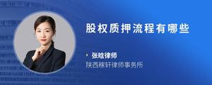 股权质押流程有哪些