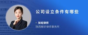 公司设立条件有哪些