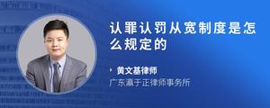 认罪认罚从宽制度是怎么规定的