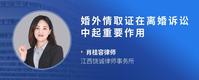 婚外情取证在离婚诉讼中起重要作用