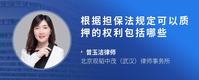 根据担保法规定可以质押的权利包括哪些