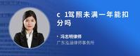 c1驾照未满一年能扣分吗