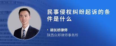 民事侵权纠纷起诉的条件是什么