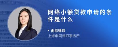 网络小额贷款申请的条件是什么