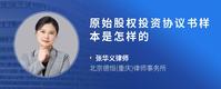 原始股权投资协议书样本是怎样的