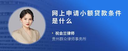 网上申请小额贷款条件是什么