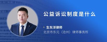 公益诉讼制度是什么