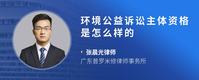 环境公益诉讼主体资格是怎么样的