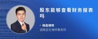 股东能够查看财务报表吗