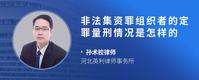 非法集资罪组织者的定罪量刑情况是怎样的