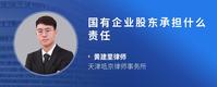 国有企业股东承担什么责任