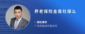 养老保险金是社保么