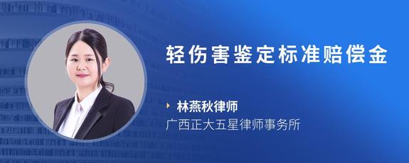轻伤害鉴定标准赔偿金
