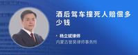 酒后驾车撞死人赔偿多少钱