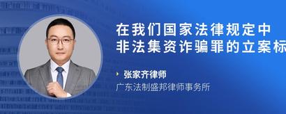 在我们国家法律规定中非法集资诈骗罪的立案标准是什么样的