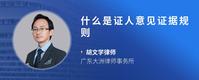 什么是证人意见证据规则