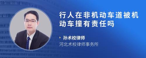 行人在非机动车道被机动车撞有责任吗