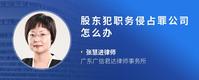 股东犯职务侵占罪公司怎么办
