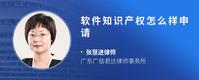 软件知识产权怎么样申请