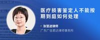 医疗损害鉴定人不能按期到庭如何处理
