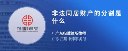 非法同居财产的分割是什么