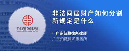 非法同居财产如何分割新规定是什么