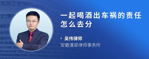 一起喝酒出车祸的责任怎么去分