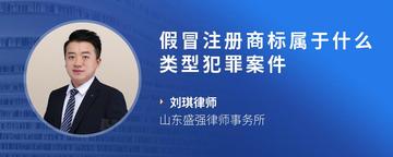 假冒注册商标属于什么类型犯罪案件
