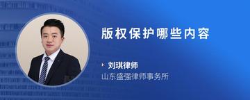 版权保护哪些内容