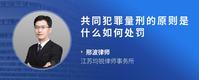 共同犯罪量刑的原则是什么如何处罚