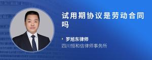 试用期协议是劳动合同吗