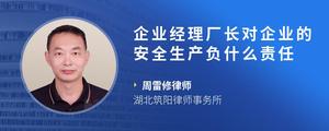 企业经理厂长对企业的安全生产负什么责任?