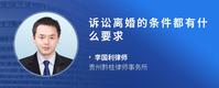诉讼离婚的条件都有什么要求