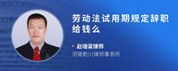 劳动法试用期规定辞职给钱么