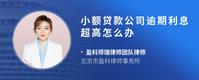 小额贷款公司逾期利息超高怎么办