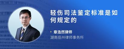 轻伤司法鉴定标准是如何规定的