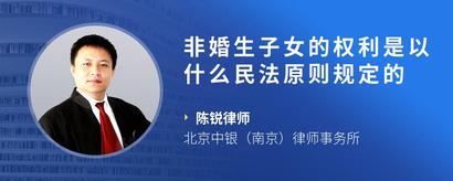 非婚生子女的权利是以什么民法原则规定的