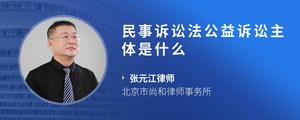 民事诉讼法公益诉讼主体是什么