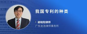 我国专利的种类
