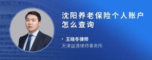 沈阳养老保险个人账户怎么查询