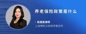 养老保险政策是什么