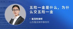 五险一金是什么,为什么交五险一金