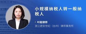 小规模纳税人转一般纳税人
