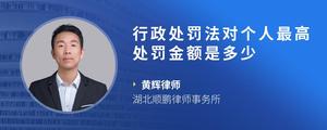 行政处罚法对个人最高处罚金额是多少