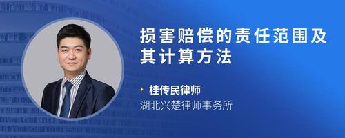 损害赔偿的责任范围及其计算方法