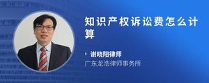 知识产权诉讼费怎么计算