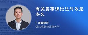 有关民事诉讼法时效是多久